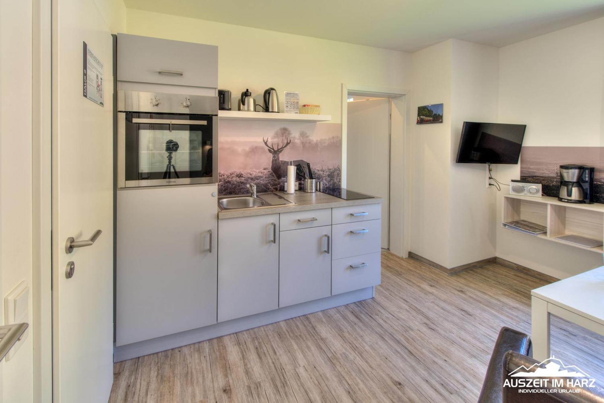 Auszeit-Im-Harz Haus 2 Wohnung 4 Schierke Exteriör bild